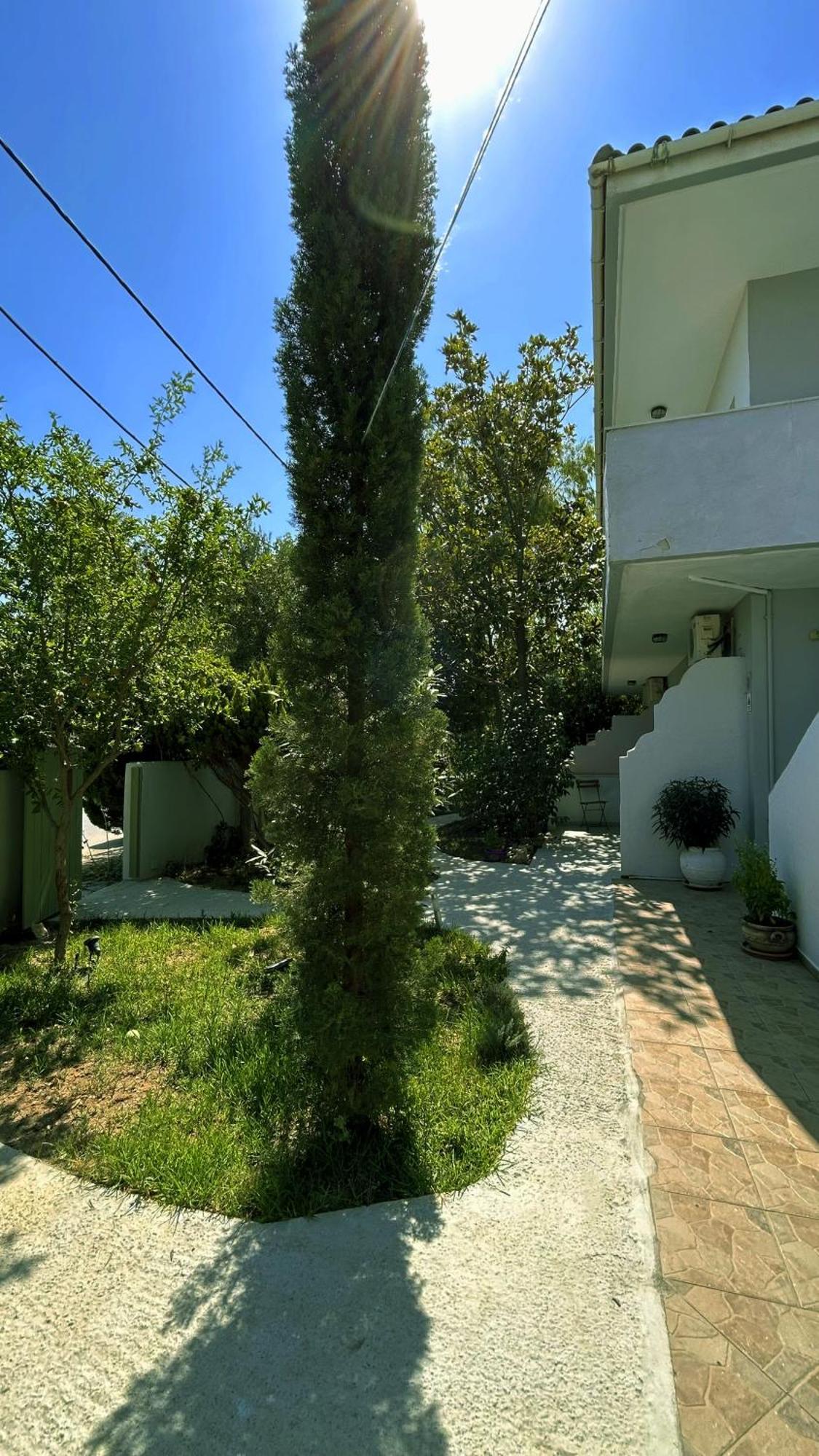 Anthonas House Apartment นิกิติ ภายนอก รูปภาพ