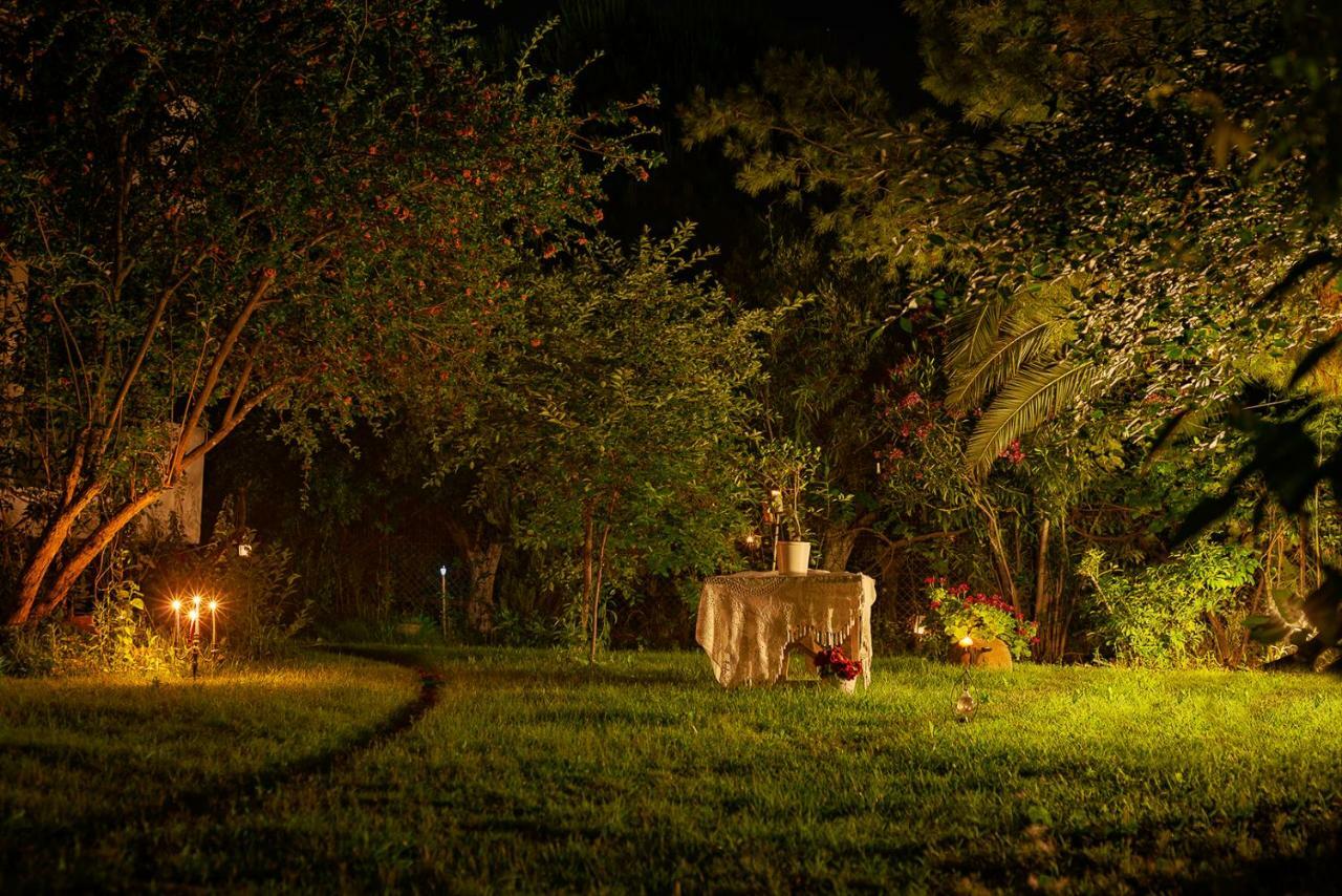 Anthonas House Apartment นิกิติ ภายนอก รูปภาพ